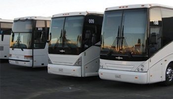 gallery/busses